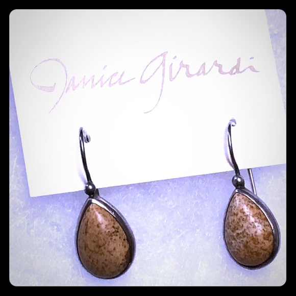 Picture Jasper Earrings